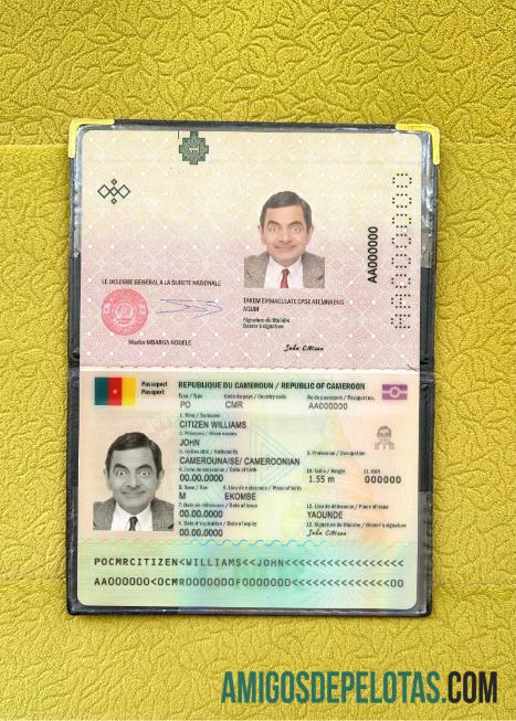 Passaporte Camarões 2021 Presente Photolook baixar para verificação